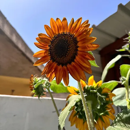 Sa Domu De Cri Hébergement de vacances