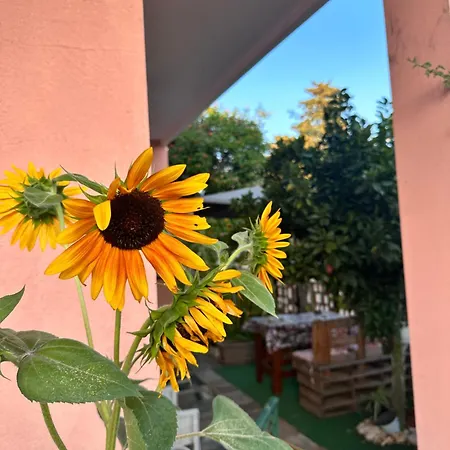 Sa Domu De Cri Holiday home
