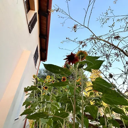 Sa Domu De Cri Holiday home *