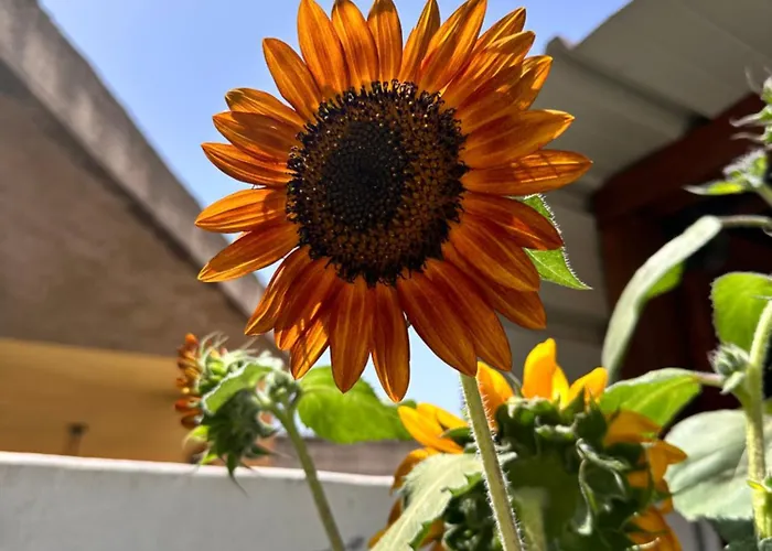 Sa Domu De Cri Casa vacanze