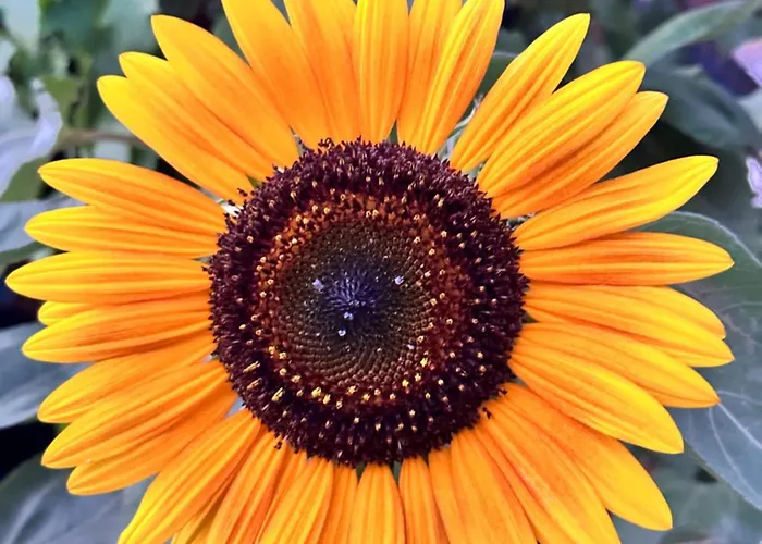 Dom wakacyjny Sa Domu De Cri *