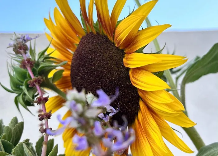 Sa Domu De Cri Casa vacanze *