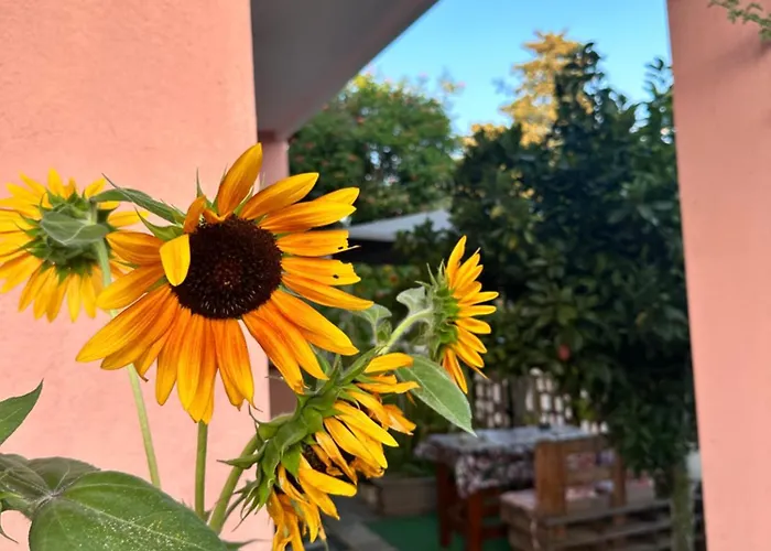 Sa Domu De Cri Casa vacanze