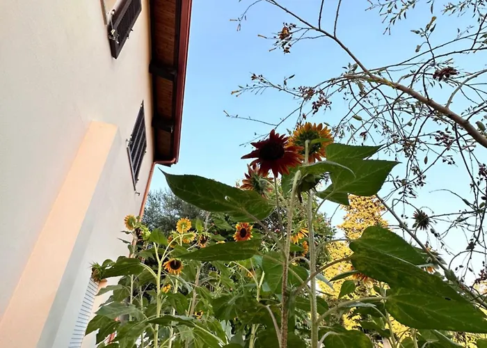 Sa Domu De Cri Casa vacanze *